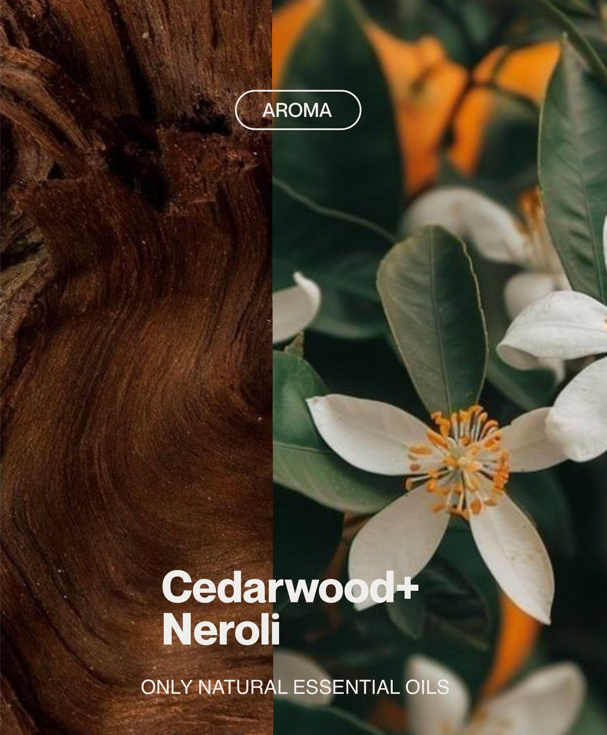 Cedarwood and neroli aromatherapy campaign with botanical floral imagery used in a body scrub