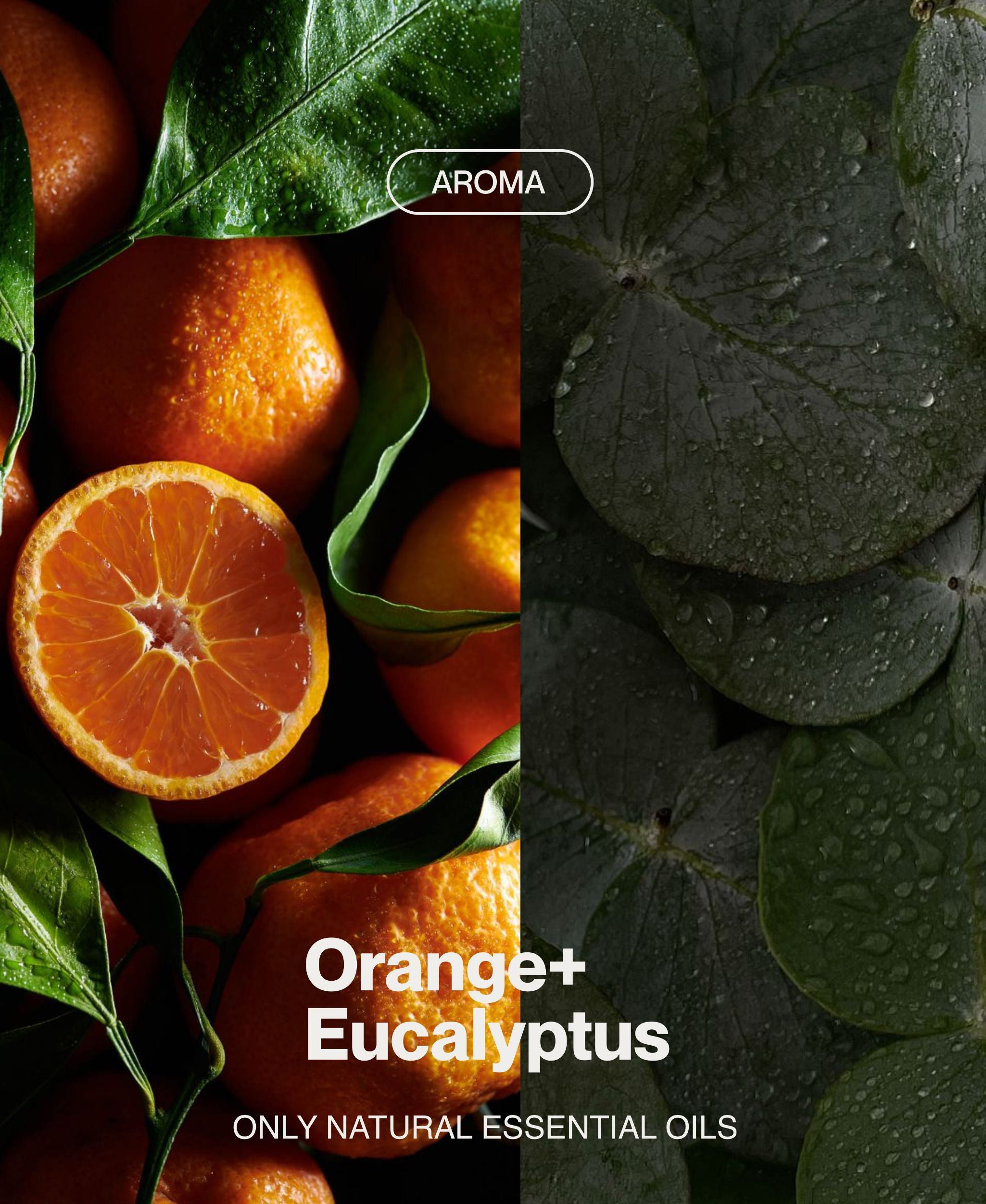 Contemporary wellness visual featuring oranges and eucalyptus-inspired textures for body scrub