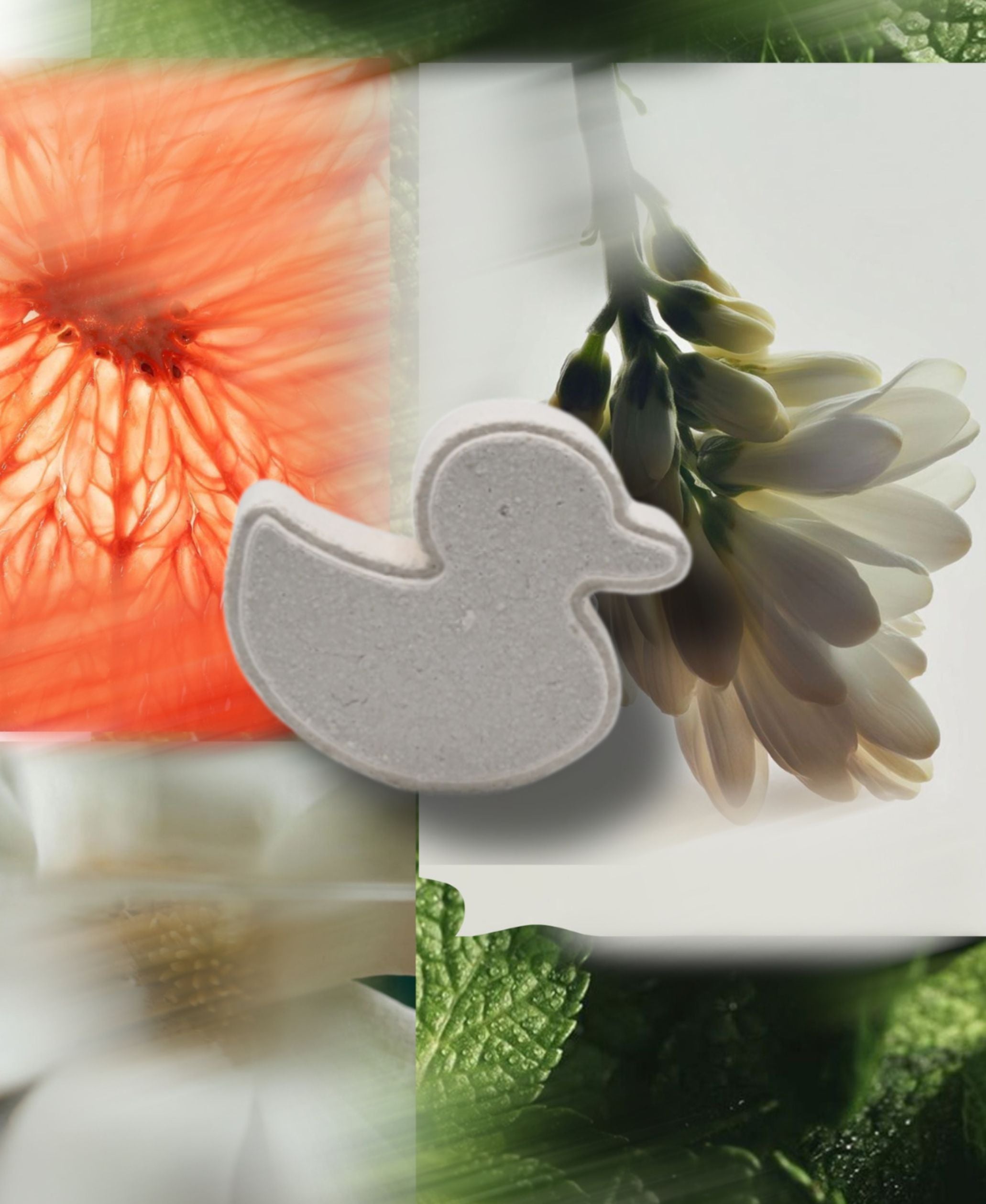 Handsome Creatures duck shower steamers with artistic botanical collage aesthetic