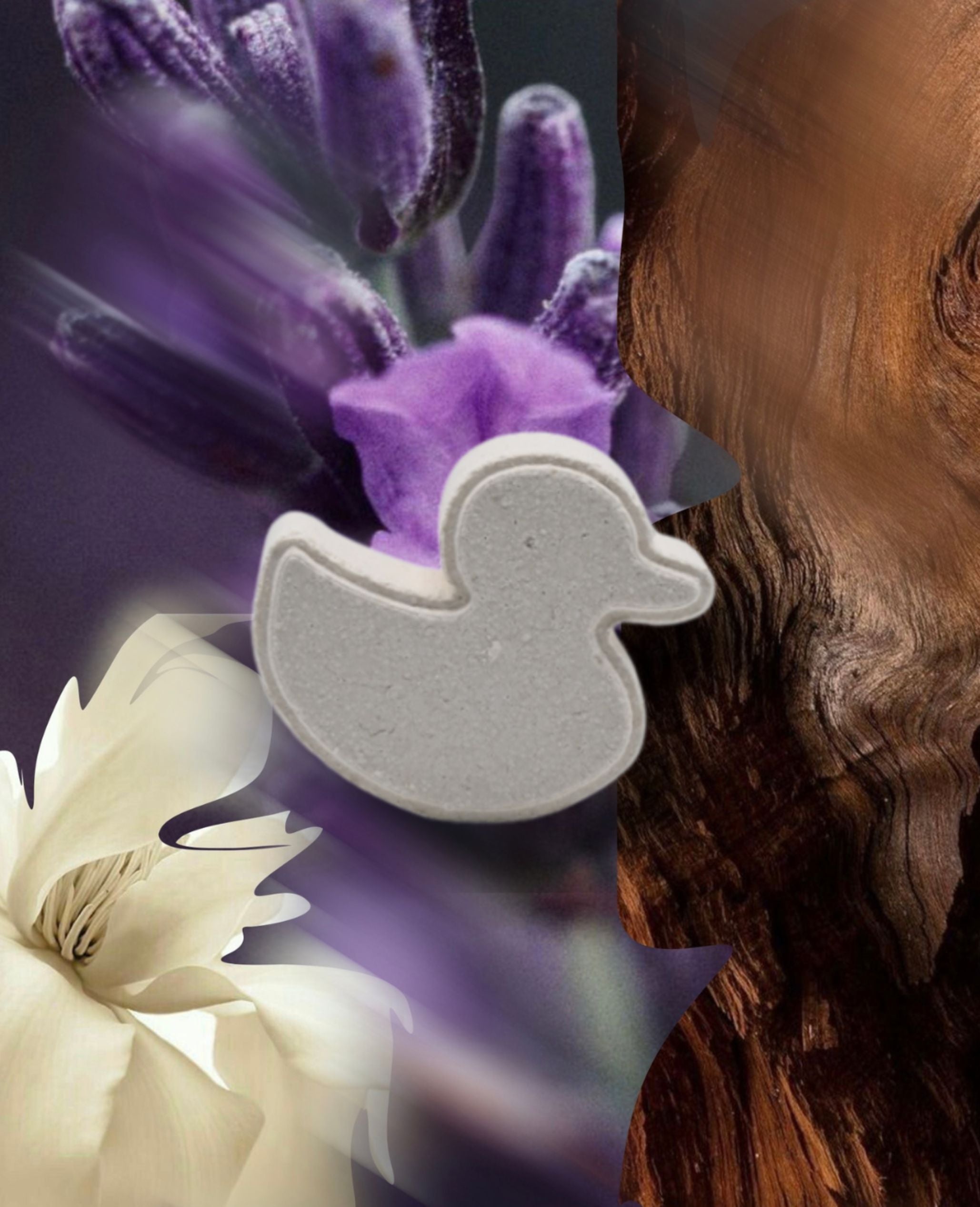 Duck-shaped shower steamers surrounded by lavender and floral botanical imagery