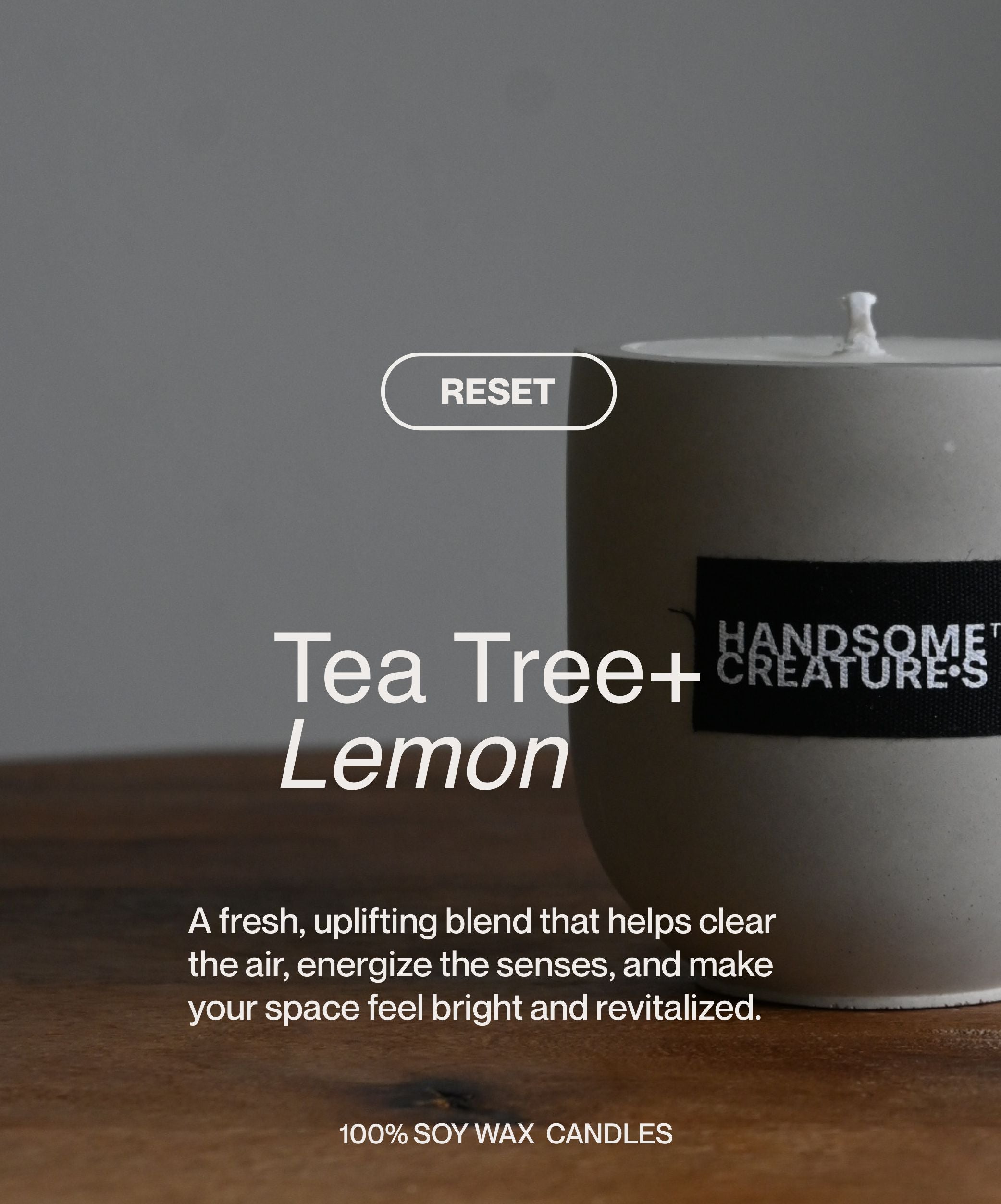 Handsome Creatures Tea Tree + Lemon soy wax candle with minimalist modern styling