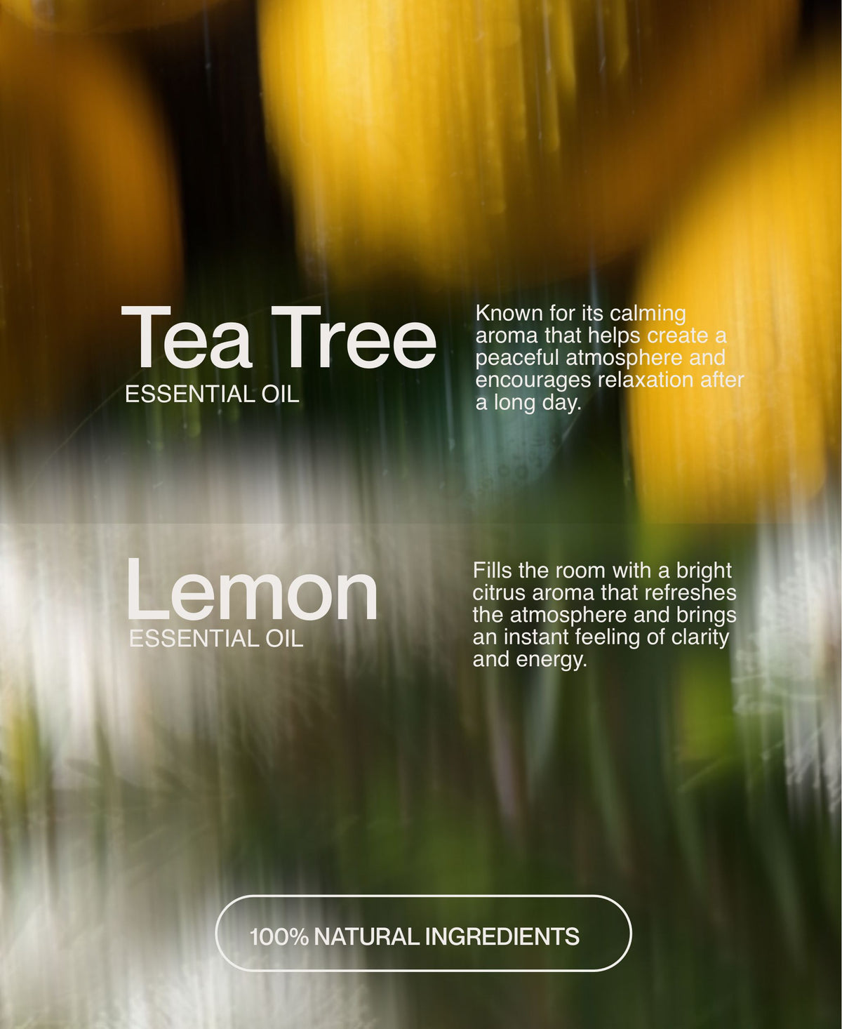 Tea Tree + Lemon soy wax candle fragrance story with abstract botanical motion background