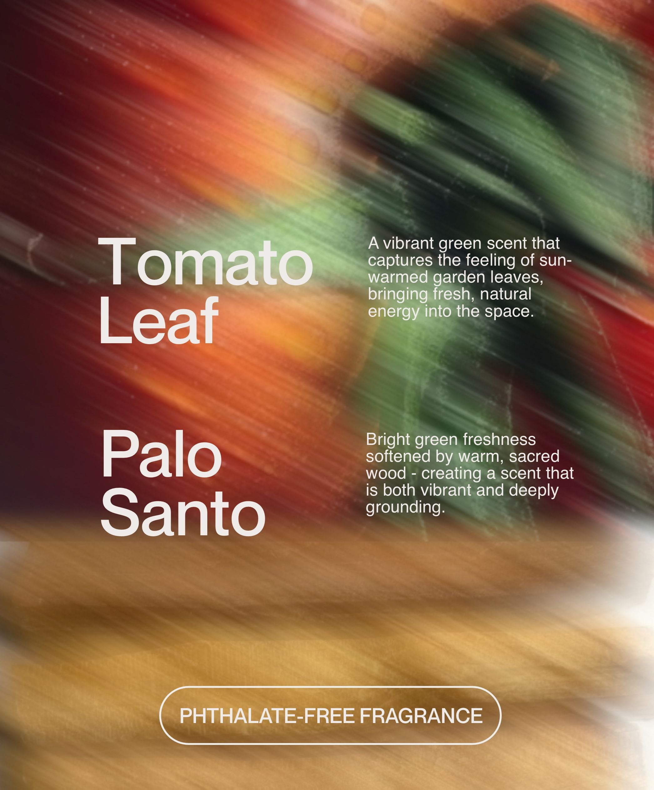 Tomato Leaf and Palo Santo phthalate-free soy wax candle fragrance visual