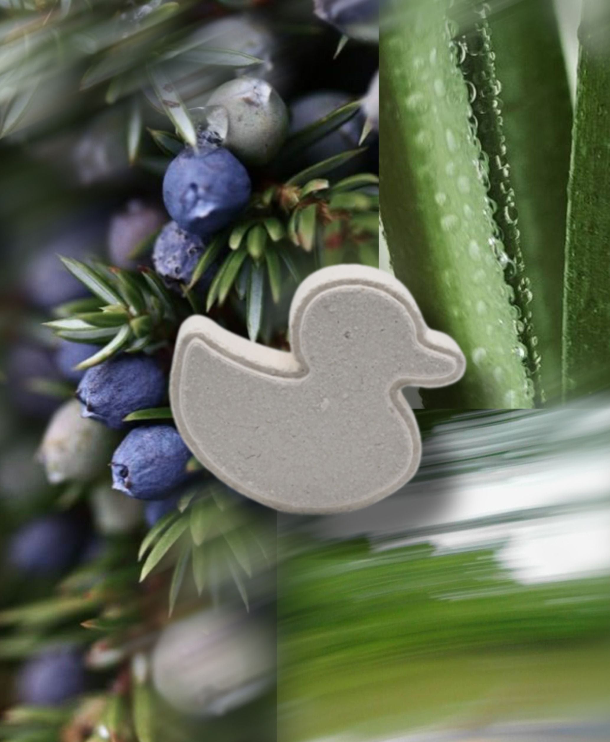 Contemporary wellness visual featuring duck-shaped shower steamers and botanicals