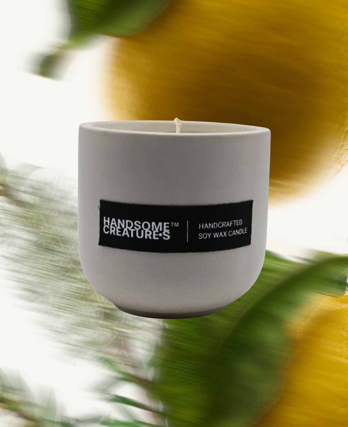 Handsome Creatures soy wax candle in minimalist ceramic vessel with lemon and tea tree -inspired background